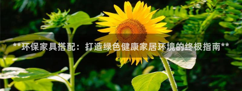 杏耀平台官网下载