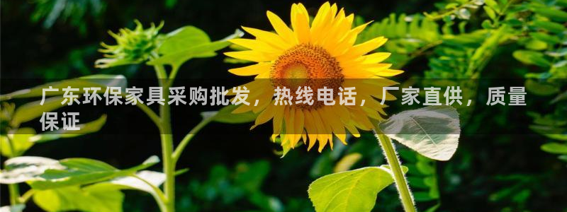 杏耀手机客户端