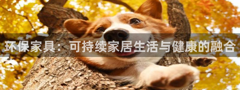 杏耀官方网