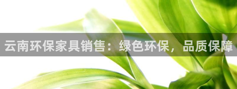 杏耀平台代理怎么赚钱的