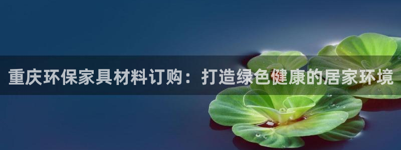 杏耀代理日工资多少