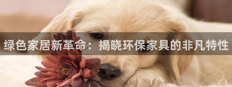 杏耀官网网站中心