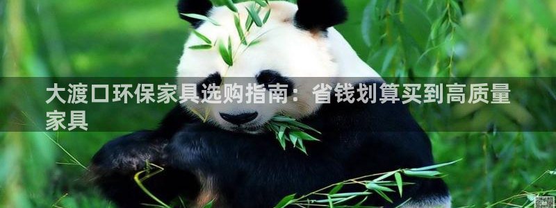 杏耀测速登录地址