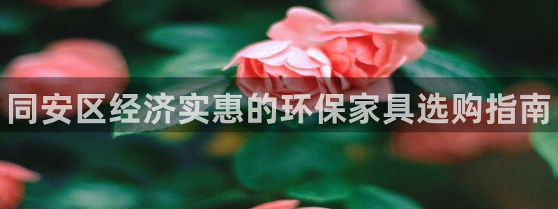 杏耀平台测速登陆