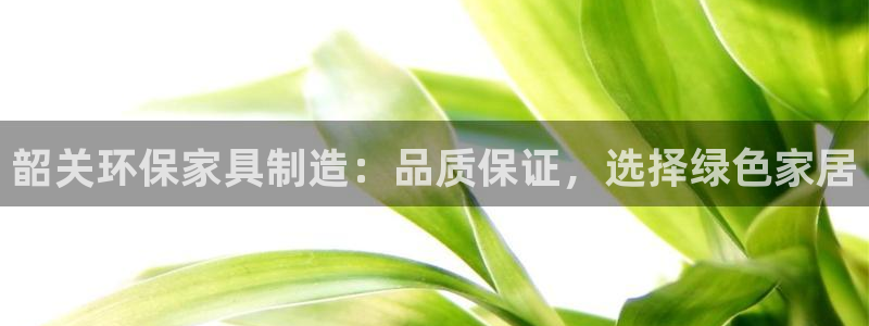 杏耀代理登录中心怎么进