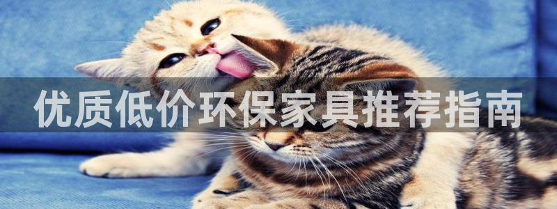 杏耀注册登入