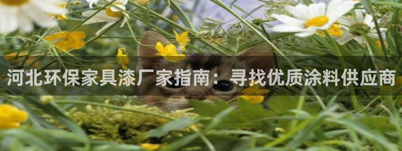 杏耀手机网页登录入口