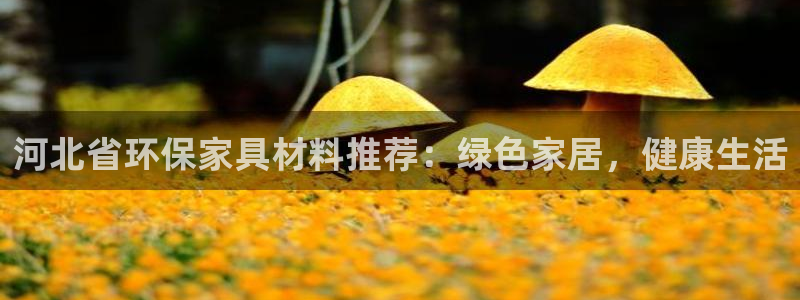 杏耀平台怎样