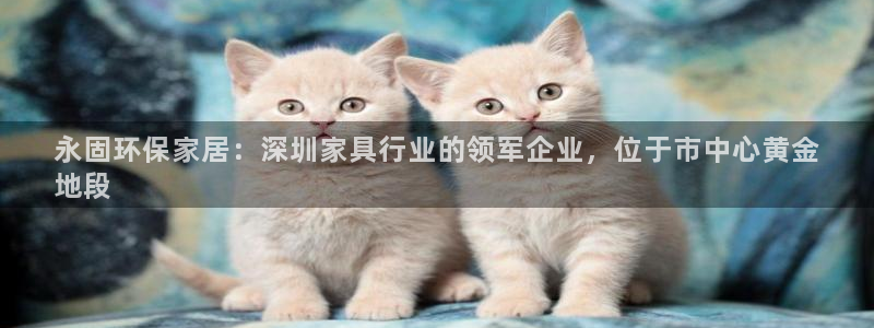 杏耀平台登录地址：永固环保家居：深圳家具行业的领军企业，位于