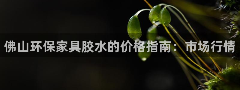 杏耀平台正规么：佛山环保家具胶水的价格指南：市场行情