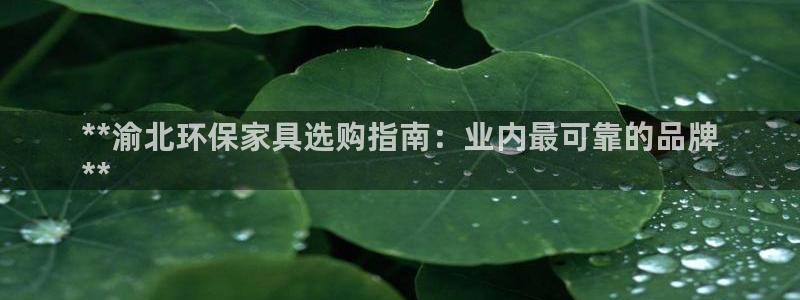 杏耀平台代理：**渝北环保家具选购指南：业内最可靠的品牌
*