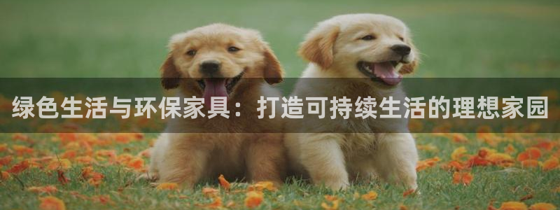 杏耀代理1980