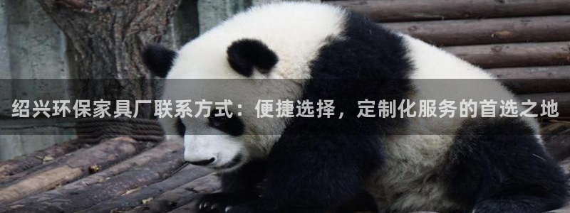 杏耀官网网站中心