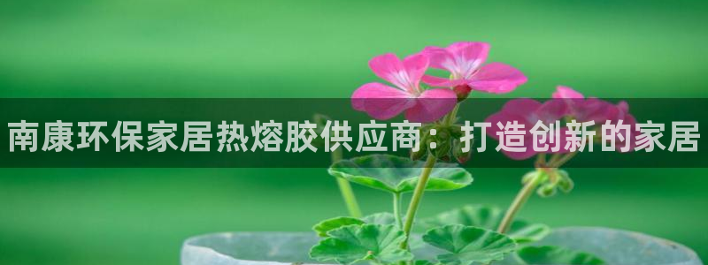 杏耀平台登陆测速